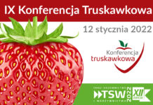 IX Konferencja Truskawkowa na targach TSW