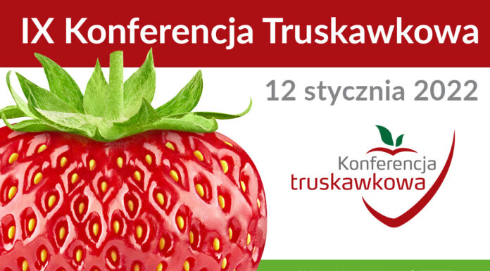 IX Konferencja Truskawkowa na targach TSW
