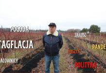 Borówkowy sezon 2021. Był jaki był, ale najgorsze jeszcze przed nami! FILM