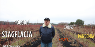 Borówkowy sezon 2021. Był jaki był, ale najgorsze jeszcze przed nami! FILM