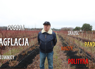 Borówkowy sezon 2021. Był jaki był, ale najgorsze jeszcze przed nami! FILM