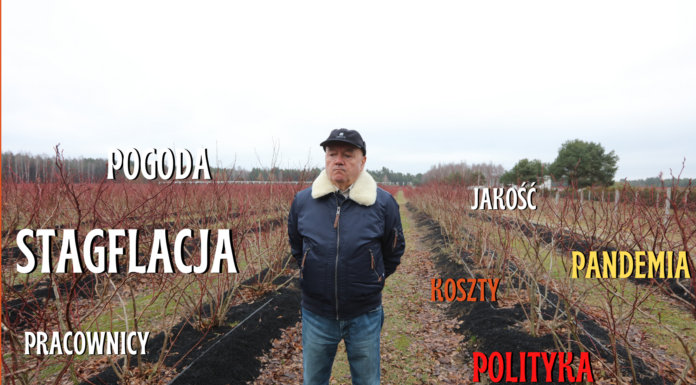 Borówkowy sezon 2021. Był jaki był, ale najgorsze jeszcze przed nami! FILM