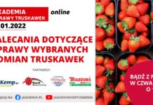 Akademia Uprawy Truskawek 2022, cz. 2 – już w czwartek!