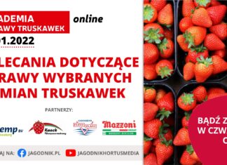 Akademia Uprawy Truskawek 2022, cz. 2 – już w czwartek!