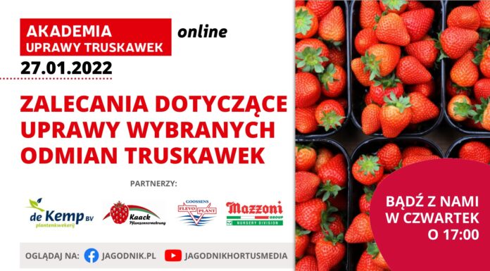 Akademia Uprawy Truskawek 2022, cz. 2 – już w czwartek!