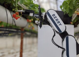 Zautomatyzowany zbiór truskawki, czyli robot w sektorze szklarniowym