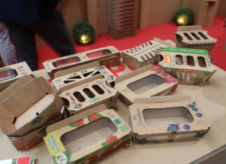 Opakowania biodegradowalne. A może jadalne?