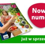 Jagodnik_nowy_numer_1-2022