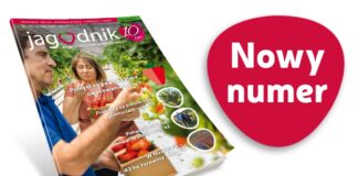 Jagodnik 1/2022 już w sprzedaży