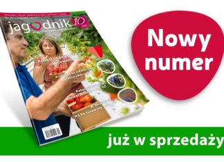 Jagodnik 1/2022 już w sprzedaży
