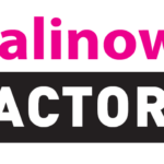 Malinowe Factory