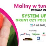 Maliny w tunelach_grunt_czy_pojemniki