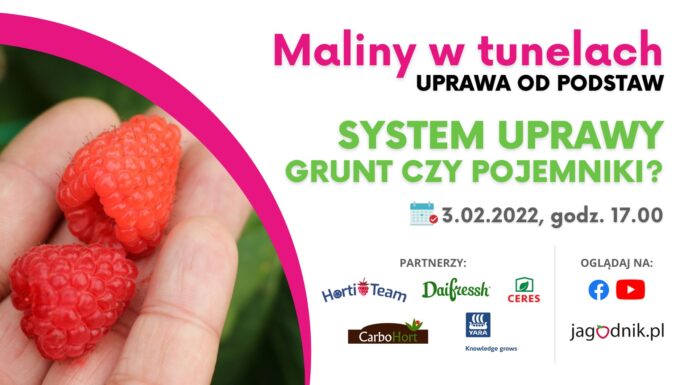 Maliny w tunelach – webinarium malinowe 3 lutego