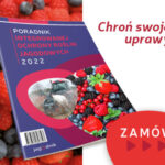 _PORADNIK_banerek_356x300px