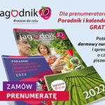 PRENUMERATA_banerek_356x300px_prev