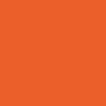 Pszczelinka_Osmia_750x200