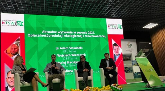 Perspektywa na rozwój rynku jakościowego