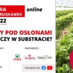 Uprawy pod osłonami – w ziemi czy w substracie (2)