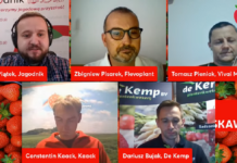 Wybrane odmiany truskawek – podsumowanie drugiej części AUT 2022