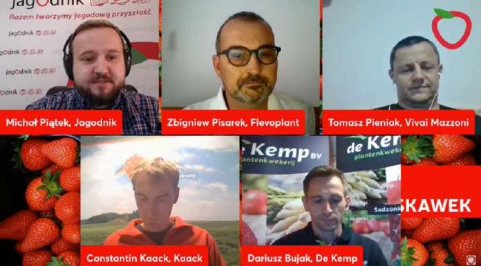 Wybrane odmiany truskawek – podsumowanie drugiej części AUT 2022