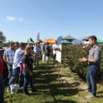 jagodnik_ (11)jagodnik_