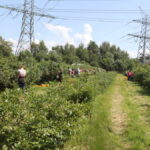 jagodnik_ (14)jagodnik_