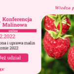 AGROSIMEX_KONF_ONLINE_MALINOWA_BANNER_600x400_09-02-2022