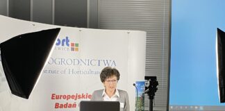 Skuteczna ochrona w obliczu „Zielonego Ładu”