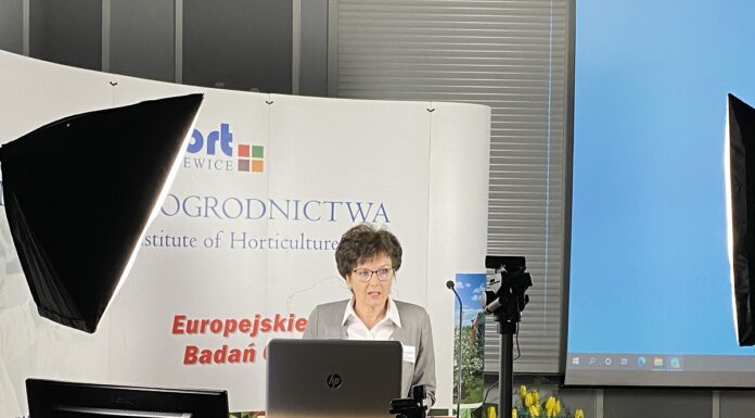 Skuteczna ochrona w obliczu „Zielonego Ładu”