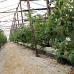 IMG_3059huelva_2022