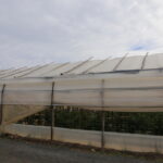 IMG_3073huelva_2022
