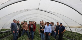 Jagodowe w regionie Huelva (cz. I) – nasze wrażenia