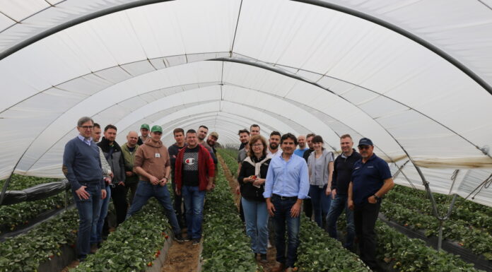 Jagodowe w regionie Huelva (cz. I) – nasze wrażenia