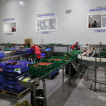 IMG_3282huelva_2022