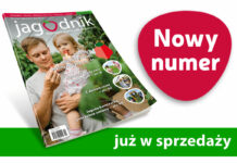 Jagodnik 2/2022 już w sprzedaży!