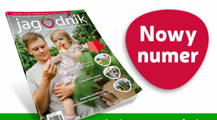 Jagodnik 2/2022 już w sprzedaży!