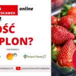 Jakość czy plon – AUT