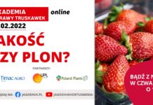 Akademia Uprawy Truskawek 2022, cz. 3: Jakość czy plon?