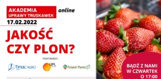 Akademia Uprawy Truskawek 2022, cz. 3: Jakość czy plon?