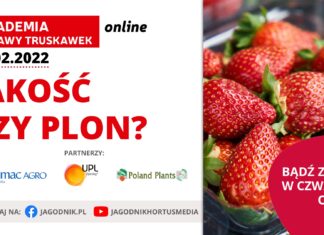 Akademia Uprawy Truskawek 2022, cz. 3: Jakość czy plon?