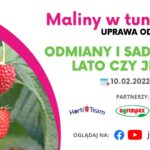 Maliny w tunelach_odmiany