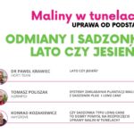 Maliny w tunelach_odmiany_program