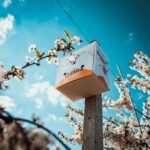 OsmiaBox