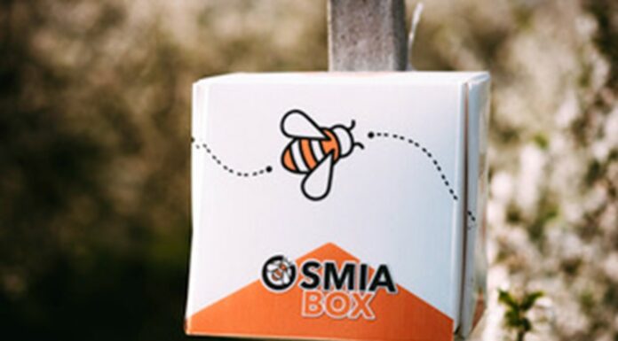 Innowacyjne i zautomatyzowane możliwości w hodowli murarki ogrodowej!