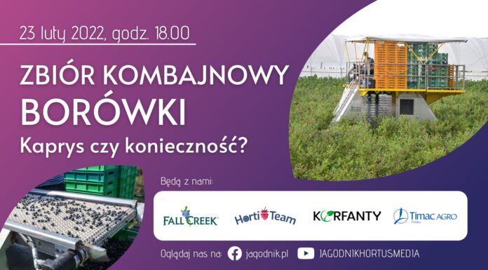 Webinar: Zbiór kombajnowy borówki. Kaprys czy konieczność?
