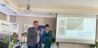 Blisko morza o truskawkach