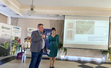 Blisko morza o truskawkach