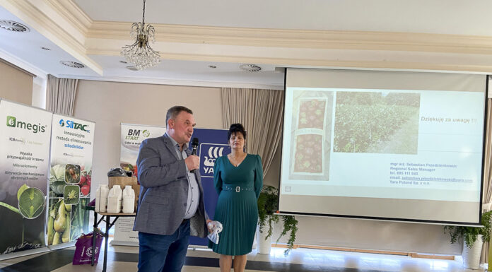 Blisko morza o truskawkach