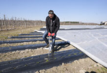 Pierwsze zabiegi na plantacjach truskawek. Zaczynamy od analizy gleby. FILM