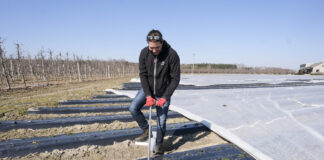 Pierwsze zabiegi na plantacjach truskawek. Zaczynamy od analizy gleby. FILM